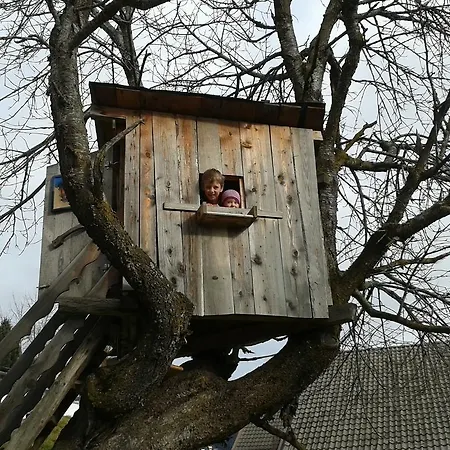 Apartmán Ciasa Nea *